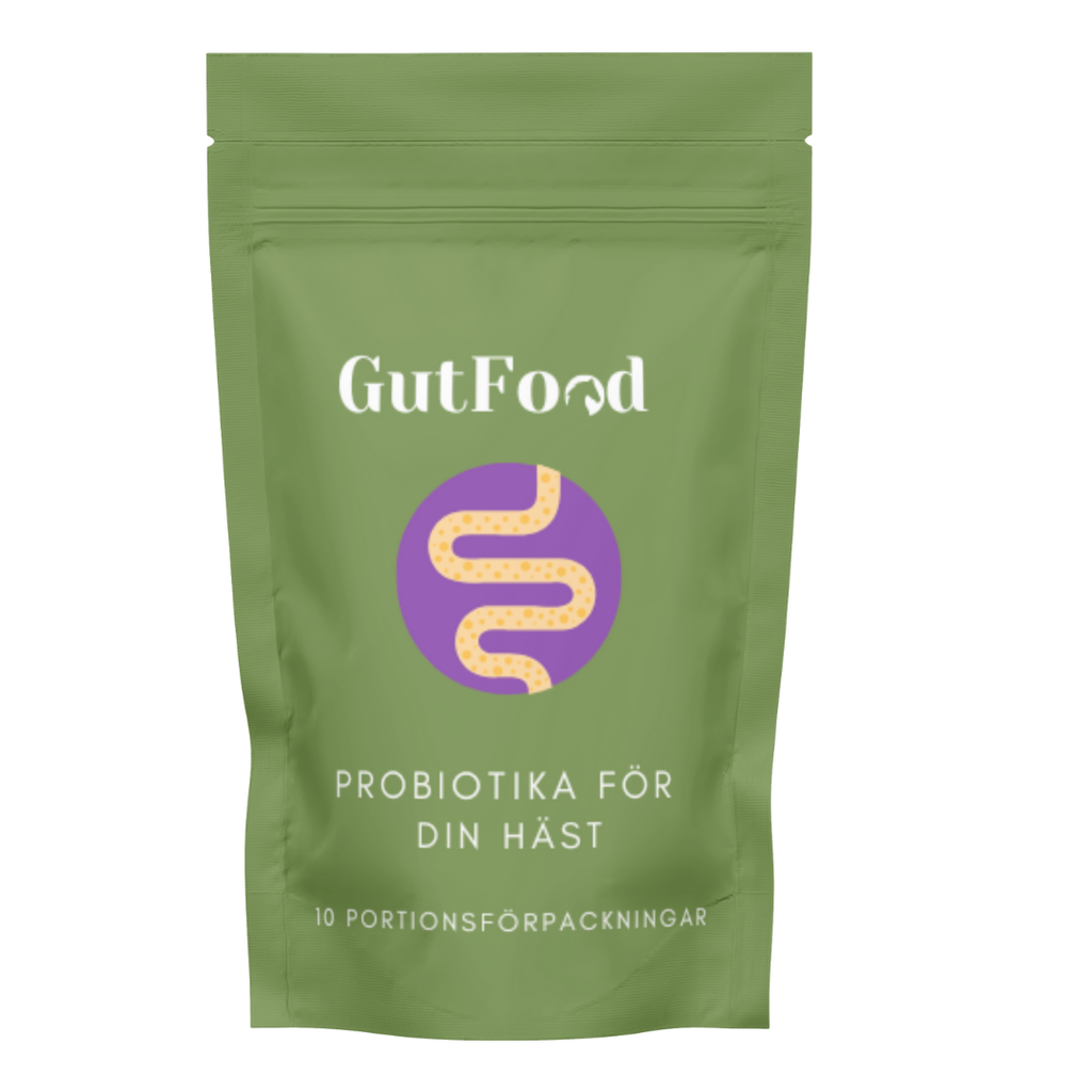 Probiotika för häst