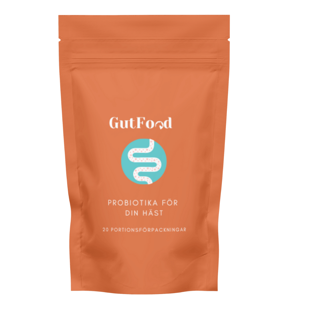 Probiotika för häst