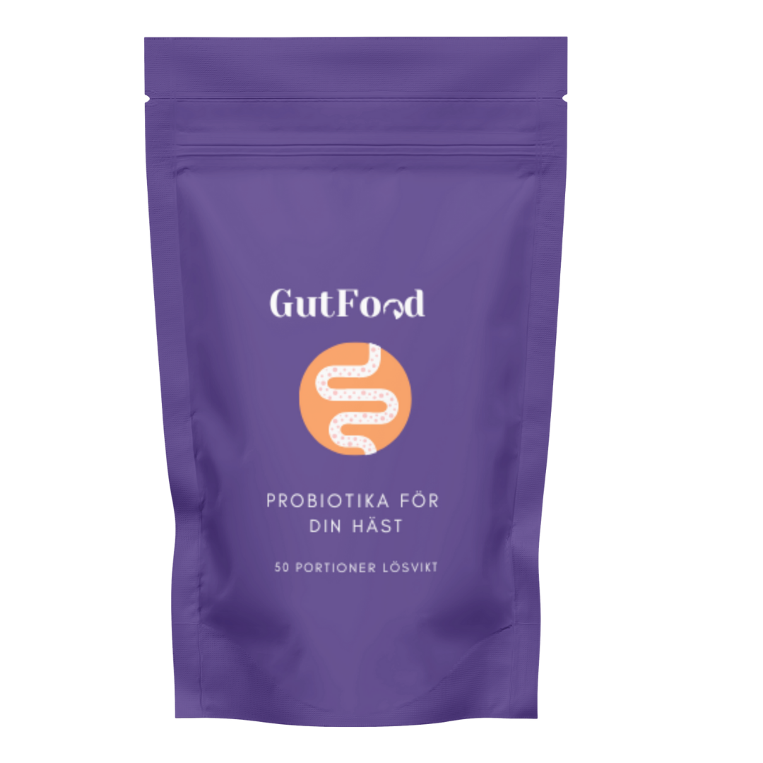 Probiotika för häst